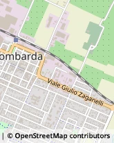 Viale Giulio Zaganelli, 76,48024Massa Lombarda