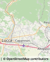 Via Isidoro Del Re, 136,55011Lucca