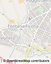 Via Fratelli Giuseppe e Mariano Soprani, 45,00052Cerveteri