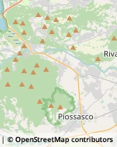 Feste - Organizzazione e Servizi,10090Torino