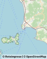 Assicurazioni,57029Livorno