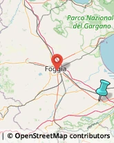 Agenzie Investigative,71042Foggia