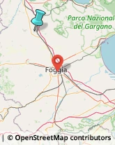 Agenzie Investigative,71016Foggia