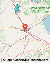 Agenzie Investigative,71016Foggia