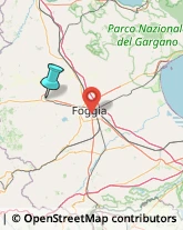 Agenzie Investigative,71036Foggia