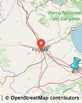 Agenzie Investigative,71042Foggia