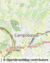 Via Vittorino Cannavina, 13,86100Campobasso