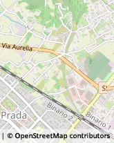 Via Aurelia, 127,54033Carrara