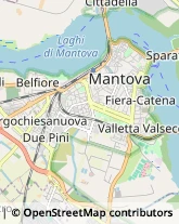 Campeggi, Villaggi Turistici e Ostelli,46100Mantova