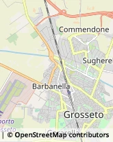 Via Svezia, 21,58100Grosseto