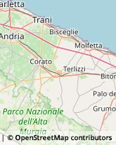 Cooperative Produzione, Lavoro e Servizi,76011Barletta-Andria-Trani