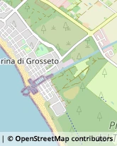 Agrumi,58100Grosseto