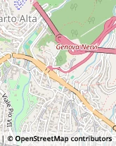 Via delle Primule, 109/13,16148Genova