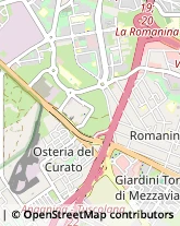 Via Vincenzo Manzini, 123,00173Roma