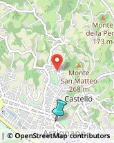 Palestre e Centri Fitness,36071Vicenza