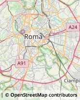 Via Enrico Albanese, 34,00149Roma