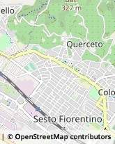 Istituti di Bellezza,50019Firenze