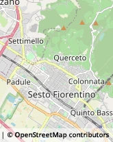 Istituti di Bellezza,50019Firenze