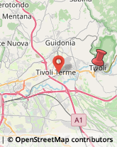 Via Adolfo Scalpelli, 33,00019Tivoli