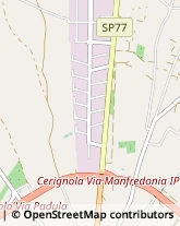 Viale Antonio Pedone, S.n.c.,71042Cerignola