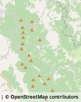 Eventi, Conferenze e Congressi - Servizi e Organizzazione,05020Terni