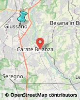 Calzature - Dettaglio,20833Monza e Brianza