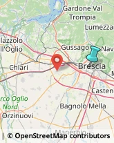 Bulbi e Sementi,25122Brescia