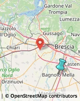 Bulbi e Sementi,25021Brescia