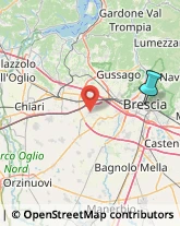 Bulbi e Sementi,25121Brescia