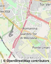 Arredamento - Vendita al Dettaglio,00173Roma