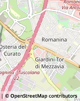 Arredamento - Vendita al Dettaglio,00173Roma