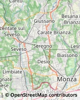 Alimenti Surgelati - Dettaglio,20841Monza e Brianza