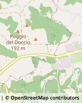 Via Sardegna, 14,53036Poggibonsi