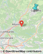 Agenzie di Animazione e Spettacolo,24024Bergamo