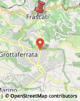 Via Piave, 37,00044Frascati