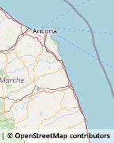 Enoteche,60027Ancona