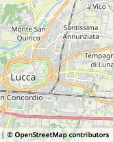 Via San Giorgio, 9,55100Lucca