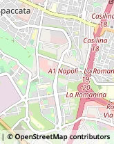 Impianti Sportivi,00133Roma