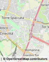 Impianti Sportivi,00133Roma