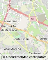 Via Antonino Pagliaro, 5/7,00133Roma