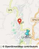 Articoli per Ortopedia,61029Pesaro e Urbino