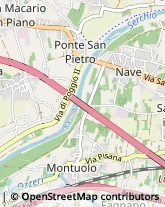 Via Sarzanese, 1212,55100Lucca