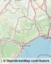 Agenzie Immobiliari,17019Savona