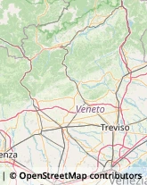 Avicoltura,31020Treviso