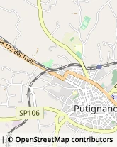 Viale della Repubblica, 47/A,70017Putignano