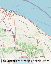 Strada Provinciale per Turi e Putignano, 5 b,70023Gioia del Colle