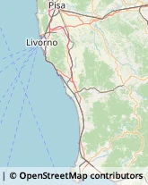 Giornalai,57022Livorno