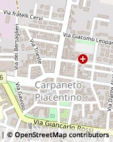 Via Guglielmo Marconi, 24,29013Carpaneto Piacentino