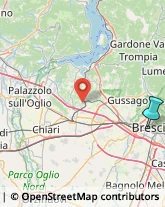 Agenzie di Animazione e Spettacolo,25126Brescia