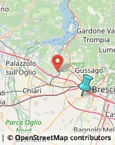 Agenzie di Animazione e Spettacolo,25030Brescia